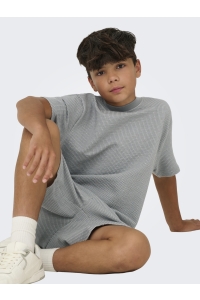 Only and Sons OSJKIAN LIFE RLX SS STRP TEE JRS NO: sedona sage/glacier gray