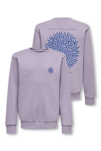 Only and Sons OSJCERES CELL REG LS CREW SWT lavender gray/cell lavender