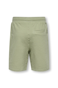 Only and Sons OSJKIAN LIFE REG STRP SHORT JRS NOO: seagrass