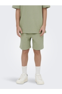 Only and Sons OSJKIAN LIFE REG STRP SHORT JRS NOO: seagrass