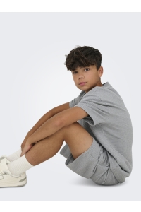 Only and Sons OSJKIAN LIFE REG STRP SHORT JRS NOO: sedona sage/glacier gray