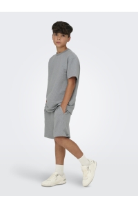 Only and Sons OSJKIAN LIFE REG STRP SHORT JRS NOO: sedona sage/glacier gray