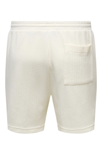 Only and Sons ONSTREY LIFE REG FRML SHORTS gardenia