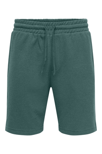 Only and Sons ONSKOSTA REG S SHORTS T