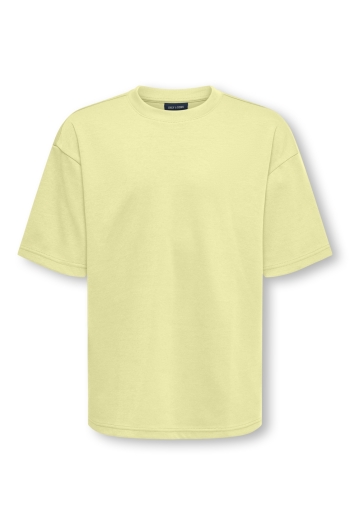 Only and Sons OSJCASPIAN AIRFLEX BOXY SS TEE NOOS