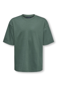 Only and Sons OSJCASPIAN AIRFLEX BOXY SS TEE NOOS silver pine
