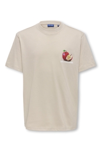 Only and Sons OSJTASTY RLX SS TEE JRS silver lining/nyc galleria