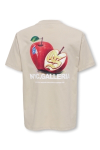 Only and Sons OSJTASTY RLX SS TEE JRS silver lining/nyc galleria