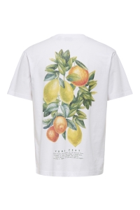 Only and Sons OSJAXEL DORADO LIFE RLX SS TEE bright white/pure zest