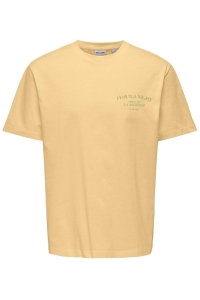 ONLY&SONS ONSFRED LIFE RLX SS PRINT TEE NOOS sunlight/tequila night
