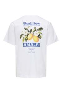 Only and Sons ONSFRED LIFE RLX SS PRINT TEE NOOS bright white/amalfi