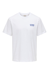 Only and Sons ONSFRED LIFE RLX SS PRINT TEE NOOS bright white/amalfi