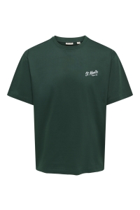 Only and Sons ONSFRED LIFE RLX SS PRINT TEE NOOS pine grove/st. moritz