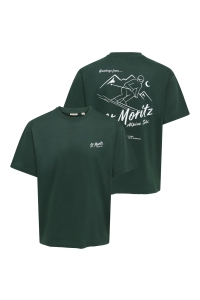 Only and Sons ONSFRED LIFE RLX SS PRINT TEE NOOS pine grove/st. moritz