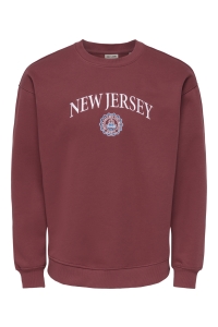 Only and Sons ONSCONNOR COLLEGE RLX LS CREW NECK burnt russet/new jersey