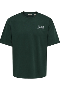 Only and Sons ONSPARKS GALLERY AIR BOXY SS TEE NO: pine grove/gallery