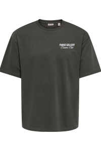 Only and Sons ONSPARKS GALLERY AIR BOXY SS TEE NO: beluga/central parks white