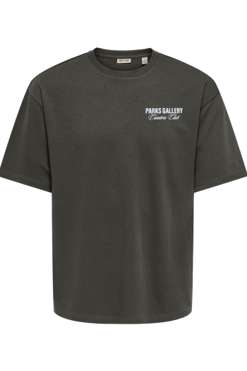 Only and Sons ONSPARKS GALLERY AIR BOXY SS TEE NO: