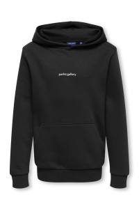 Only and Sons OSJCERES REG HOOD SWEAT PRINT black/parks gallery