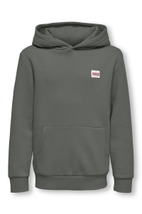 Only and Sons OSJCERES HOODIE LABEL SWT NOOS castor gray