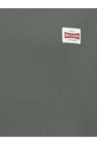 Only and Sons OSJCERES HOODIE LABEL SWT NOOS castor gray