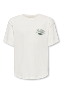 Only and Sons OSJPARKS GALLERY SS RLX TEE cloud dancer/parks