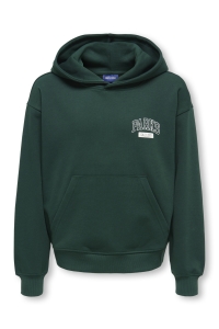 Only and Sons OSJTURNER PARKS GALLERY RLX HOODIE pine grove/parks gallery