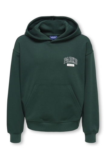 Only and Sons OSJTURNER PARKS GALLERY RLX HOODIE