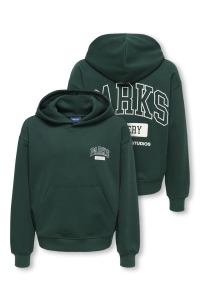Only and Sons OSJTURNER PARKS GALLERY RLX HOODIE pine grove/parks gallery