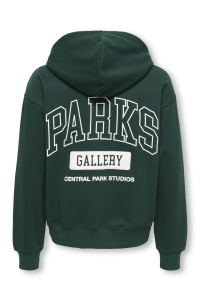 Only and Sons OSJTURNER PARKS GALLERY RLX HOODIE pine grove/parks gallery
