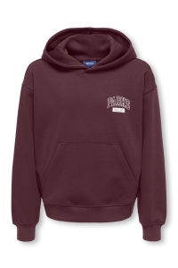 Only and Sons OSJTURNER PARKS GALLERY RLX HOODIE port royale/parks gallery