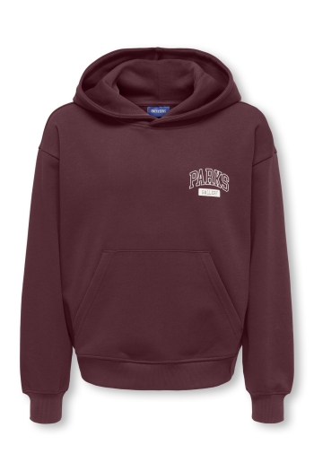 Only and Sons OSJTURNER PARKS GALLERY RLX HOODIE