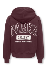 Only and Sons OSJTURNER PARKS GALLERY RLX HOODIE port royale/parks gallery