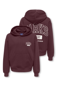 Only and Sons OSJTURNER PARKS GALLERY RLX HOODIE port royale/parks gallery