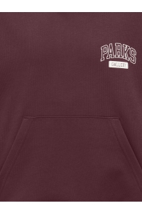 Only and Sons OSJTURNER PARKS GALLERY RLX HOODIE port royale/parks gallery