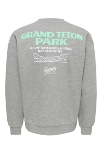 Only and Sons ONSBEJMO MORITS RLX LS CREW NECK dark grey melange/grand teton