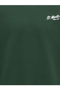 Only and Sons ONSBEJMO MORITS RLX LS CREW NECK pine grove/st.moritz