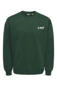 Only and Sons ONSBEJMO MORITS RLX LS CREW NECK pine grove/st.moritz