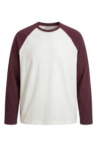 Only and Sons ONSHEATON RAGLAN LS TEE NOOS cloud dancer/port royale