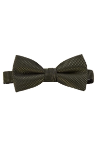 Jack and Jones JACCOLOMBIA BOWTIE NOOS jet set/groen