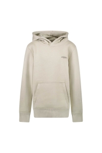 Cars Kids CELENCE SW Hood Kit kit