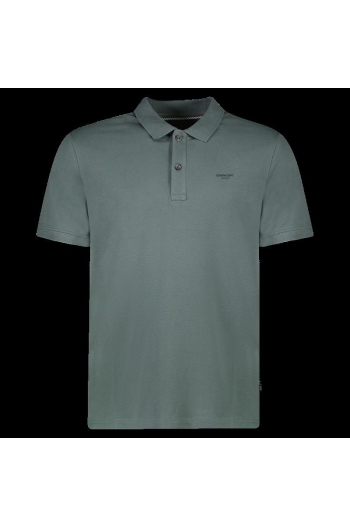 Cars DARIO POLO Moss