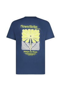 Cars PLUYO TS Backprint Navy navy