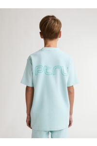 Petrol Industries Boys T-Shirt SS Classic Print cool mint