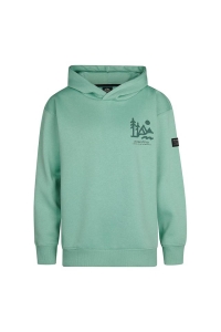 Petrol Industries Boys Sweater Hooded green smoke