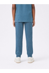 Petrol Industries Boys Non Denim Jogging storm blue