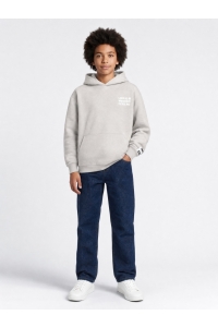 Petrol Industries Boys Sweater Hooded Print ice grey