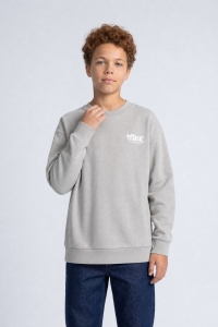 Petrol Industries Boys Sweater Round Neck Print ice grey
