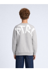 Petrol Industries Boys Sweater Round Neck Print ice grey