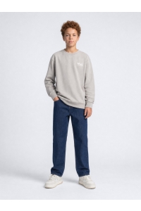 Petrol Industries Boys Sweater Round Neck Print ice grey